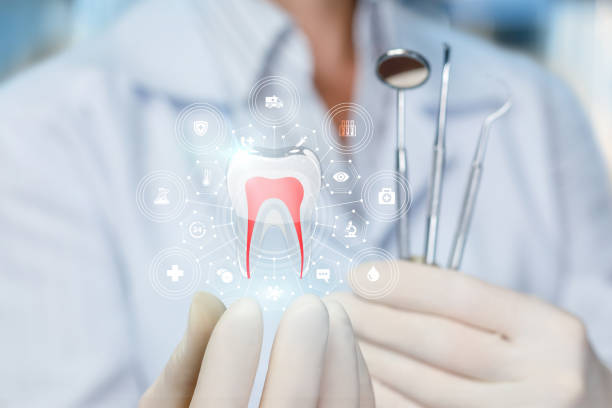 Trusted Tropical Park, FL Holistic Dental Care Services Experts